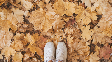 7 Ways to Stay Energised this Autumn