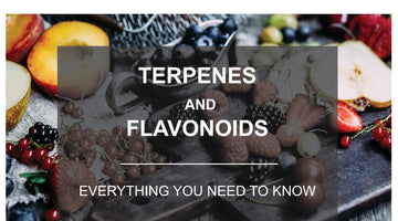 Difference between Terpenes and Flavonoids