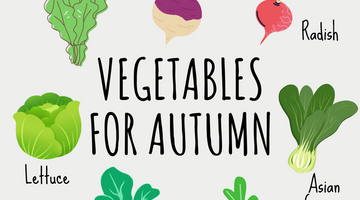 8 Fast Growing Vegetables to Grow in Autumn