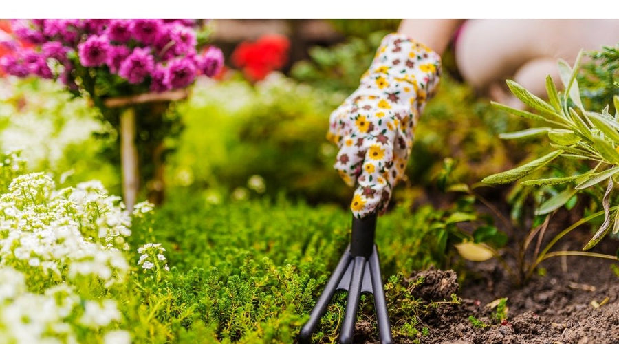 PREPARE, PLANT, PROSPER: SPRING GARDENING MADE SIMPLE!