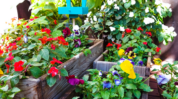 May Gardening Made Easy: Tips for a Beautiful Summer Bloom